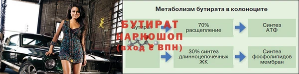 стаф Гусь-Хрустальный