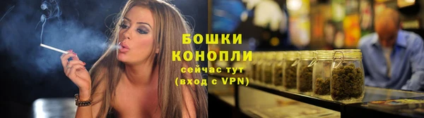 стаф Гусь-Хрустальный