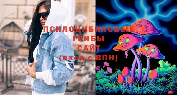 трава Гусиноозёрск