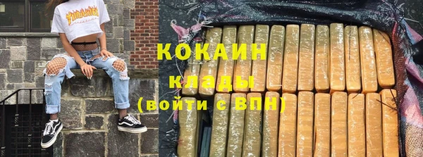 трава Гусиноозёрск