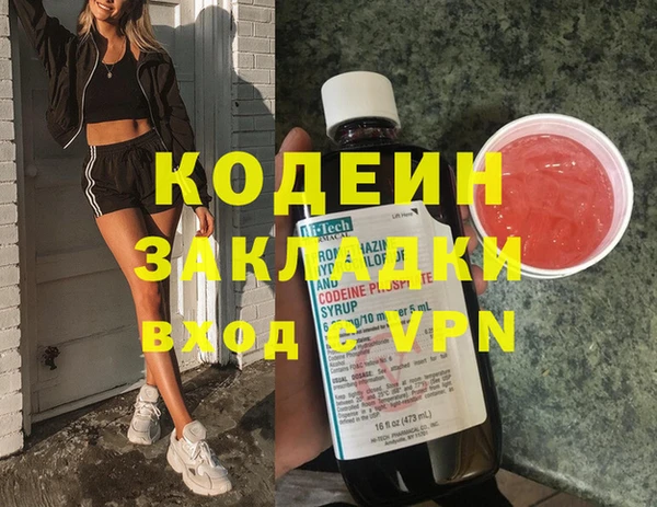 трава Гусиноозёрск