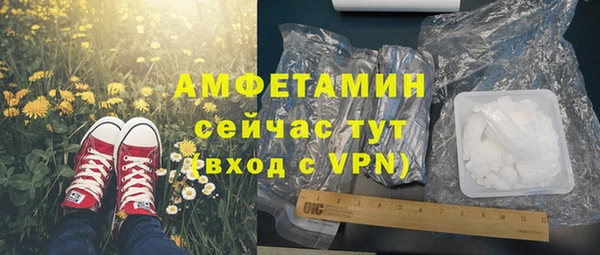 стаф Гусь-Хрустальный
