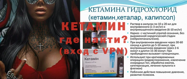 стаф Гусь-Хрустальный