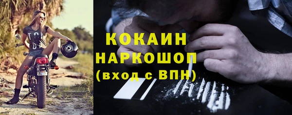 стаф Гусь-Хрустальный